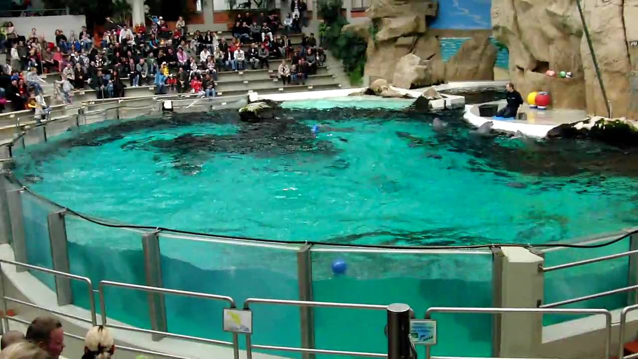 Delphinarium Zoo Duisburg 21