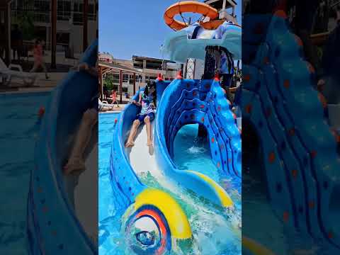 يابنات هدوا شوي علي هيلين وهيفي وليليان وسيدرا 