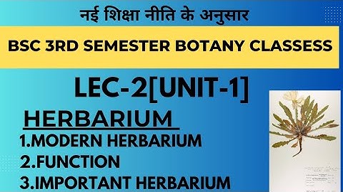 lec-2|Bsc 3rd semester botany classess|Herbarium|Flowering plants identification & Aesthetic