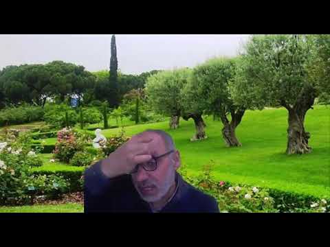 5 النفقة و السكن للمعتدة من وفاة زوجها