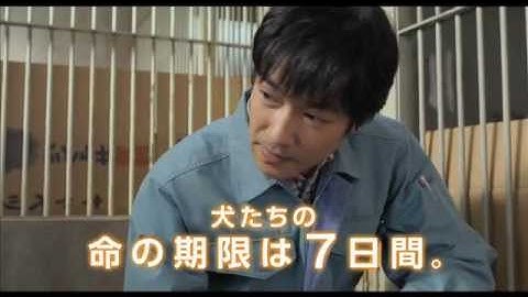 堺雅人☓中谷美紀／映画『ひまわりと子犬の7日間』30秒予告編
