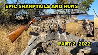 Montana: Epic Sharptails and Huns over bird dogs! by Upland Wild 2,593 views 1 year ago 10 minutes, 8 seconds