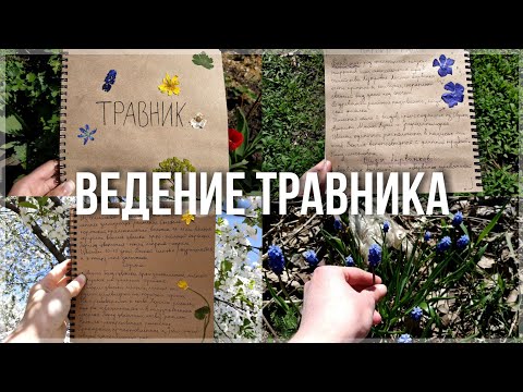 ТРАВНИК! Как заполнять, сушить цветы, клеить, оформлять 🌼 Необычное хобби!