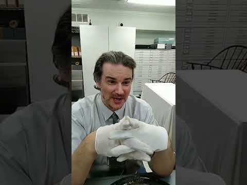 Chats With The Curator Featuring Silhouette And Porcelain Doll