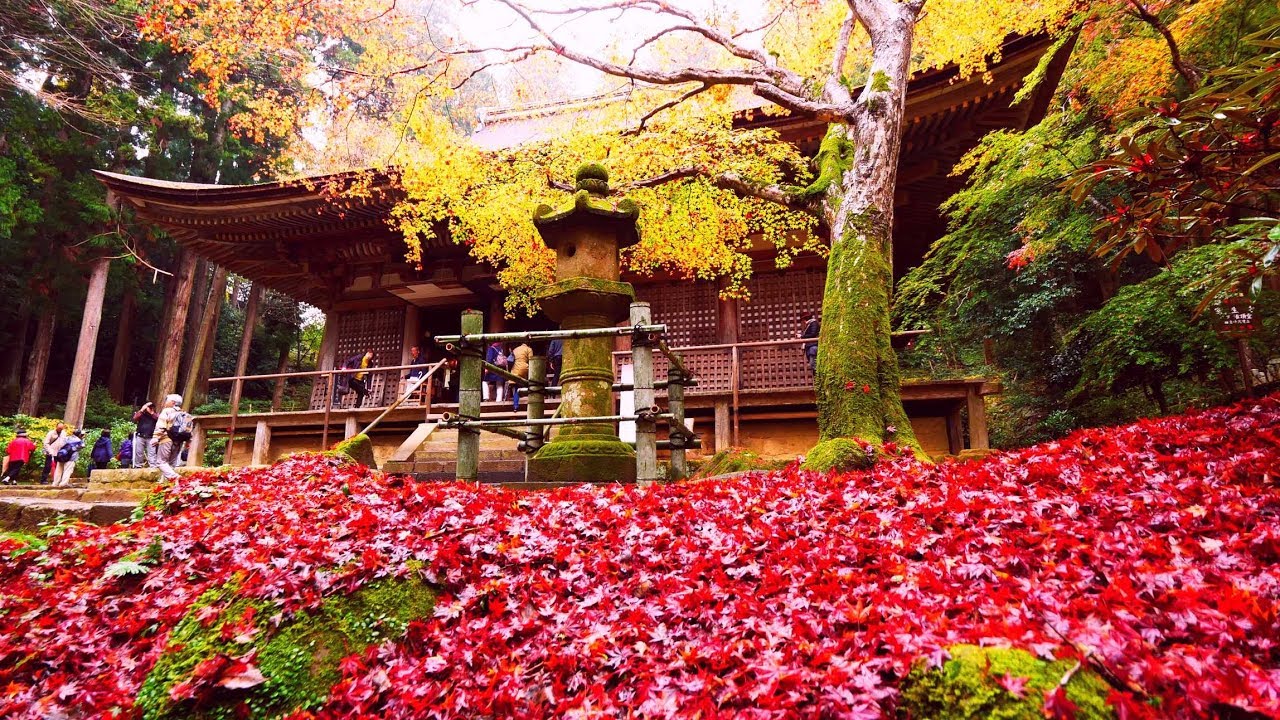 Amida Ji Temple Wakayama Destimap Destinations On Map