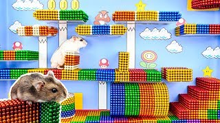 DIY  Build Amazing Super Mario Hamster Maze With Magnetic Balls (Satisfying)  Magnet Balls
