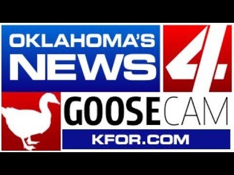 kfor-oklahoma's-news-4-live-stream