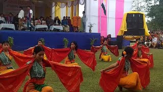 Bagurumba hai || bodo traditional dance group