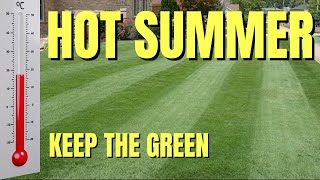 4 Simple Steps For a Healthy GREEN Lawn All Summer