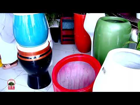 Barraqakoo Dargaggoo Hojii Uummachuun Gara Investimantiitti Ce E