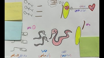 حفظ سورة طه بسهولة (٦١_٧٦) _ "قصة موسى مع السحرة"
