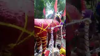 Jari Bhagyajari Viral Jari Jari Byshort Video Viralshort Video Viral