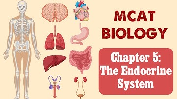 MCAT Biology: Chapter 5 - The Endocrine System (1/1)