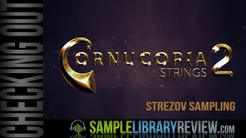 Checking Out Cornucopia Strings 2 by Strezov Sampling