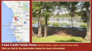 4-bed 3-bath family home for sale in land o lakes, florida on
florida-magic.com