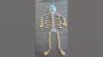 Human skeleton activity using cotton buds #shortvideo #project #trending @princessbisma3907