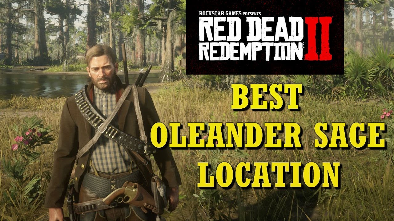 Олеандр ред дед. Rdr 2 Олеандр. Где взять Олеандр в РДР 2. Где найти Олеандр rdr2.