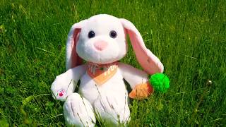 2019 Hallmark Rapping Easter Bunny voiced by Jessi Keenan