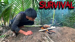 Survival Find food in the forest Rừng Đồng Nai