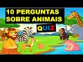 Quiz dos animais - 5-7 anos, 8-12 anos, Brinquedos, Jogos e plasticinas -  Bazar33