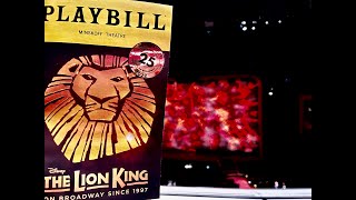 THE LION KING MUSICAL 25th ANNIVERSARY CURTAIN CALL NYC