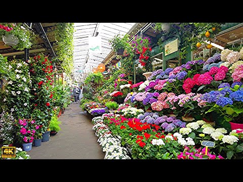 Vidéo: Marché aux fleurs de la cathédrale nationale 2020