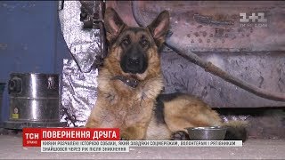 Киянин знайшов собаку, яку загубив майже рік тому Киянин знайшов собаку, яку загубив майже рік тому