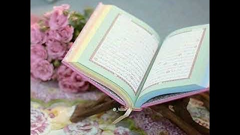 🌸تلاوة خاشعة للقارئ صادق النهاري 🌸