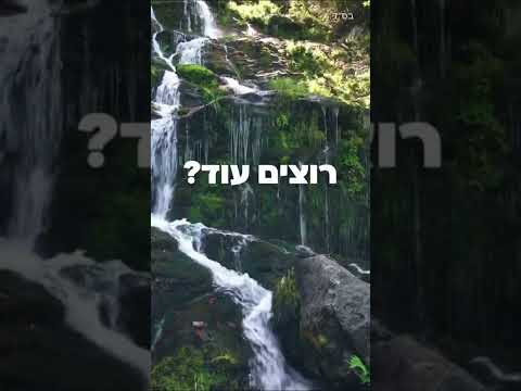 Chabad Therapy Shorts 