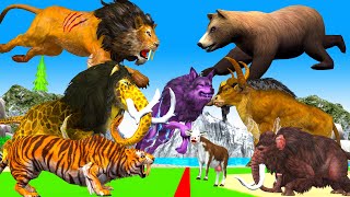 10 Big Bull vs 10 Monster Lion Tiger mammoth vs Wolf Attack Cow Buffalo Rescue By Buffalo