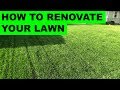 How to Renovate Your Lawn - Complete Lawn Renovation Steps, Start to Finish