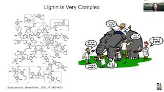 Lignin from idea to market - possibilities and challenges