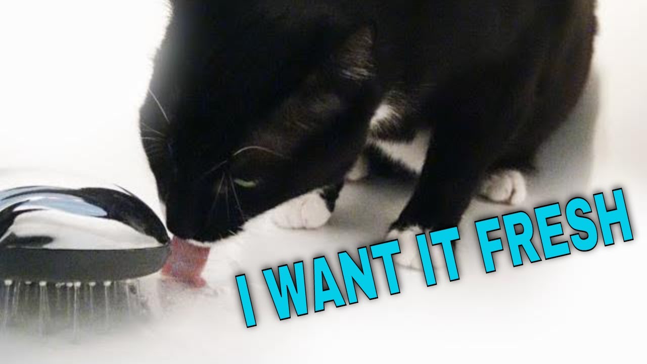 ♥ This is how Katy likes to drink water. Katy & Alaska