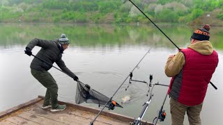 ПОПАЛИ НА ТРОФЕЙНУ РИБАЛКУ. Рекордна ловля коропа весною. Рибалка з ночівлею 2024