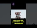 ¿Un secreto bajo el hielo?  ¡El misterio oculto en la Antártida! #curiosidades #misterio #doxisviral