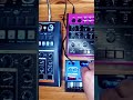 #electronicmusic #dawless #synth #music #cybercore #synthesizer #dawlessjam #acid NubassEdgeDrumbrut