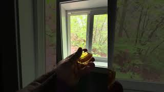 when nature calls #bathroom #nature #tinyhouse #home #house