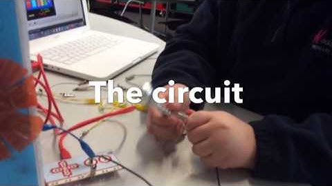 Makey Makey Xylophone Woolthorpe PS