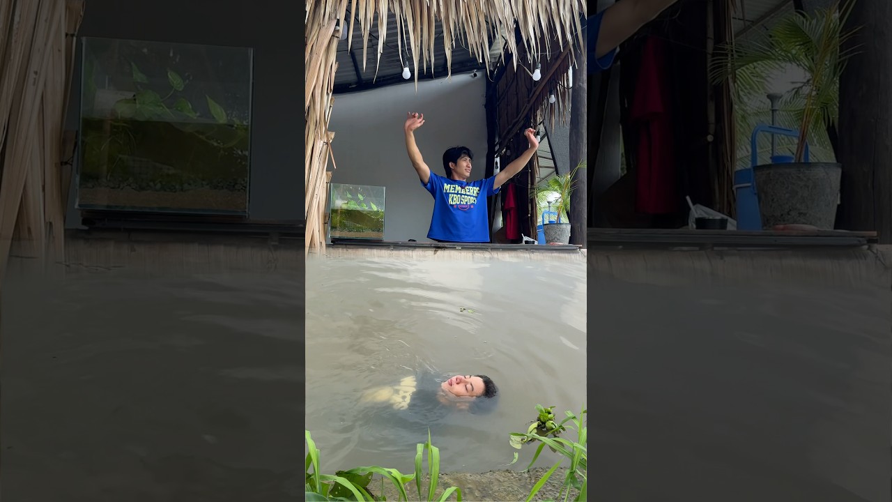 Xuống đây bơi #funny #shortvideo