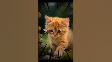 Little kitten being stung by a bee in the garden #cat #trendingshorts