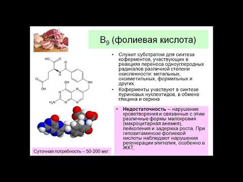 Video: Пеллаграга ким аныктама берет?