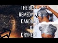 HOW I GET RID OF DANDRUFF, FLAKES & A DRY SCALP| BENTONITE CLAY MASK ON  NATURAL HAIR | JUST KESS