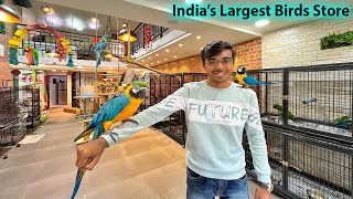 Most Exotic Birds Store in Mumbai | All India Delivery | Macaw, Toucans, Talking Parrrots etc.