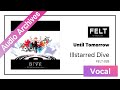 FELT 05 Until Tomorrow FELT 028 Illstarred Dive Audio Archives FELT 05 Until Tomorrow FELT 028 Illstarred Dive Audio Archives