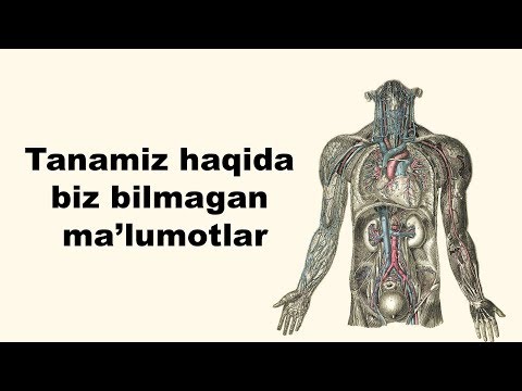 Video: Odamlar Tuzning Ozuqaviy Qiymatini Kashf Etganlarida