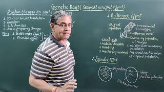 Genetic Drift || Sewall Wright Effect