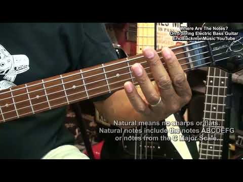 getting-started-on-5-string-bass-#4---where-are-the-notes-on-5-string-electric-bass-first