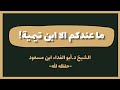 ما عندكم الا ابن تيمية الشيخ أبو الفداء ابن مسعود