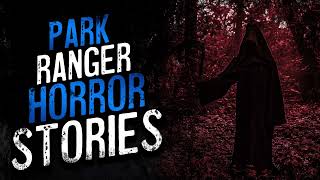 25 Scary Park Ranger Horror Stories