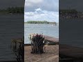 Working from the island today